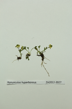  ( - ZA2012-3927)  @11 [ ] Copyright (2013) Tomas Roslin University of Helsinki