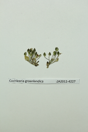  ( - ZA2012-4227)  @11 [ ] Copyright (2013) Tomas Roslin University of Helsinki