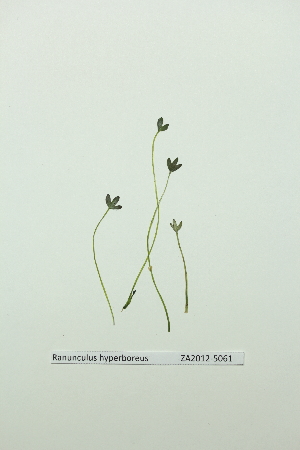  ( - ZA2012-5061)  @11 [ ] Copyright (2013) Tomas Roslin University of Helsinki