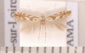  ( - CLV2456)  @12 [ ] Copyright (2010) David C. Lees Unspecified