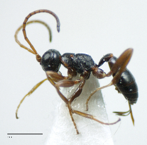  ( - IO03_G217)  @13 [ ] CreativeCommons - Attribution Non-Commercial Share-Alike (2013) Ika Osterblad University of Oulu