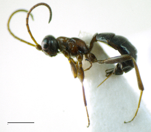  ( - IO03_G402)  @13 [ ] CreativeCommons - Attribution Non-Commercial Share-Alike (2013) Ika Osterblad University of Oulu