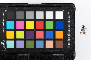  ( - GUAN-PN-9)  @11 [ ] Copyright (c) (2057) Javier Freytes University of Puerto Rico