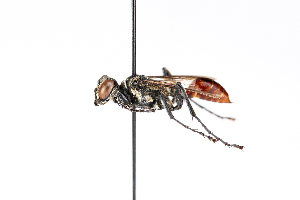  ( - GUAN-PN-9)  @11 [ ] Copyright (c) (2059) Javier Freytes University of Puerto Rico