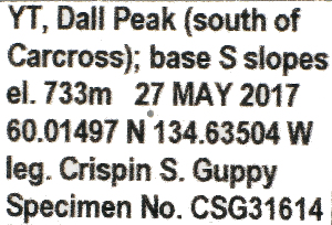  ( - CSG31614)  @11 [ ] CreativeCommons - Attribution Non-Commercial (2018) Crispin S Guppy Crispin S Guppy Collection