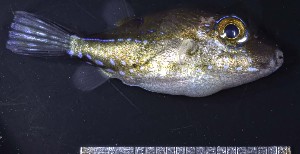  ( - GE_180)  @11 [ ] copyright © (2023) Eliot RUIZ MARBEC