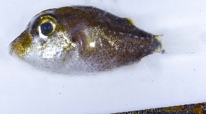  ( - GE_182)  @11 [ ] copyright © (2023) Eliot RUIZ MARBEC