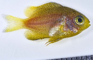  ( - GE_103)  @11 [ ] copyright © (2023) Eliot RUIZ MARBEC