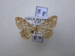  ( - BC AL Geo 00494)  @11 [ ] Copyright (2010) Antoine Leveque Research Collection of Antoine Leveque