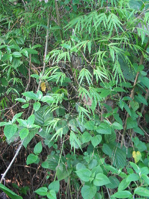  ( - XAL-3)  @11 [ ] Copyright  T. Mejia 2010 Unspecified