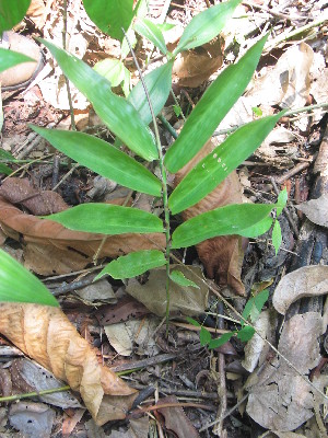  ( - XAL-3)  @11 [ ] Copyright  T. Mejia 2010 Unspecified