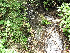  ( - XAL-66)  @11 [ ] Copyright  T. Mejia 2010 Unspecified