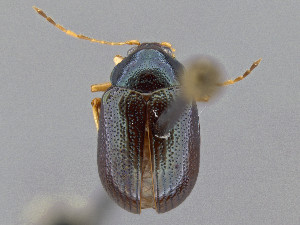  ( - CCDB-50410-C09)  @11 [ ] by-nc-nd (2025) Hume Douglas Agriculture and Agri-Food Canada