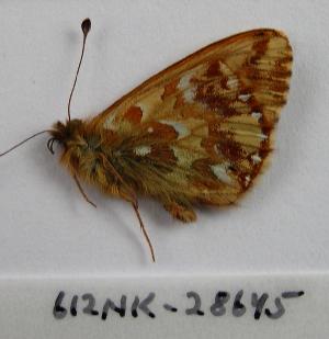  ( - 612NK-28645.1)  @12 [ ] Unspecified (default): All Rights Reserved  Unspecified Unspecified