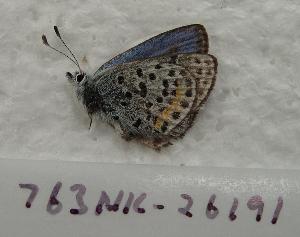  ( - 763NK-26191)  @12 [ ] Unspecified (default): All Rights Reserved  Unspecified Unspecified