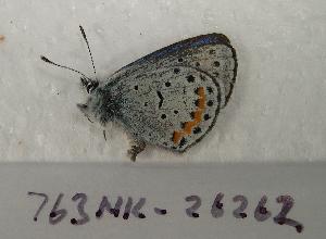  ( - 763NK-26262)  @12 [ ] Unspecified (default): All Rights Reserved  Unspecified Unspecified