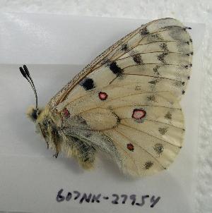  ( - 607NK-27954)  @12 [ ] Unspecified (default): All Rights Reserved  Unspecified Unspecified