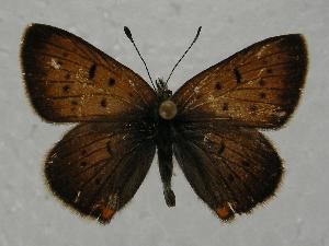  ( - 612NK-BB6846)  @13 [ ] Unspecified (default): All Rights Reserved  Unspecified Unspecified
