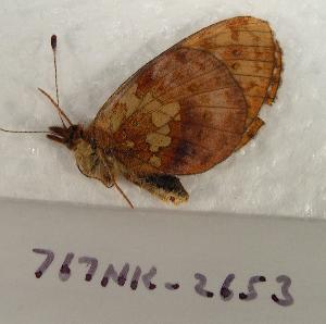  ( - 767NK-2153)  @12 [ ] Unspecified (default): All Rights Reserved  Unspecified Unspecified
