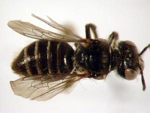  ( - Bee6-1)  @13 [ ] Copyright (2010) Unspecified Unspecified