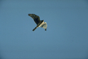  ( - 1B-2912)  @12 [ ] Unspecified (default): All Rights Reserved  Unspecified Unspecified