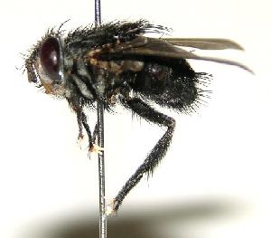  ( - DHJPAR0001127)  @14 [ ] Unspecified (default): All Rights Reserved  Unspecified Unspecified