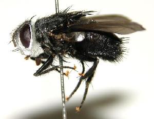  ( - DHJPAR0001173)  @14 [ ] Unspecified (default): All Rights Reserved  Unspecified Unspecified