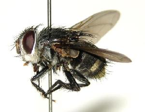  ( - DHJPAR0001296)  @14 [ ] Unspecified (default): All Rights Reserved  Unspecified Unspecified