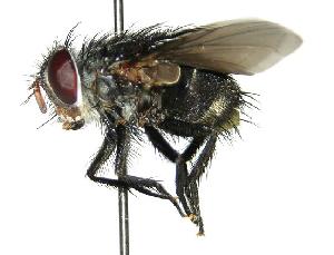  ( - DHJPAR0001684)  @14 [ ] Unspecified (default): All Rights Reserved  Unspecified Unspecified