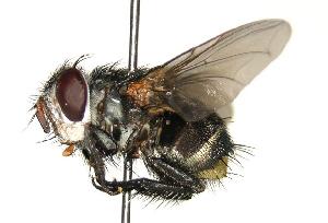  ( - DHJPAR0001685)  @14 [ ] Unspecified (default): All Rights Reserved  Unspecified Unspecified