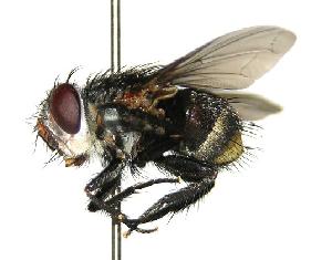  ( - DHJPAR0001686)  @14 [ ] Unspecified (default): All Rights Reserved  Unspecified Unspecified