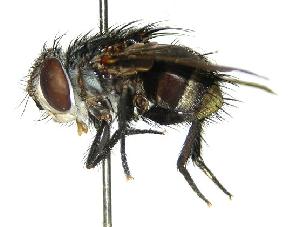  ( - DHJPAR0001711)  @14 [ ] Unspecified (default): All Rights Reserved  Unspecified Unspecified