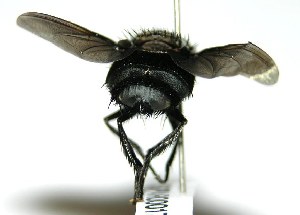  ( - DHJPAR0001747)  @13 [ ] Unspecified (default): All Rights Reserved  Unspecified Unspecified