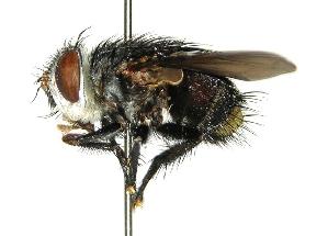  ( - DHJPAR0001789)  @14 [ ] Unspecified (default): All Rights Reserved  Unspecified Unspecified