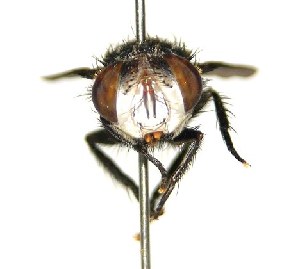  ( - DHJPAR0001796)  @14 [ ] Unspecified (default): All Rights Reserved  Unspecified Unspecified