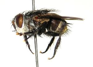  ( - DHJPAR0001796)  @14 [ ] Unspecified (default): All Rights Reserved  Unspecified Unspecified