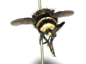  ( - DHJPAR0001925)  @14 [ ] Unspecified (default): All Rights Reserved  Unspecified Unspecified