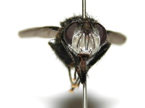  ( - DHJPAR0001926)  @14 [ ] Unspecified (default): All Rights Reserved  Unspecified Unspecified