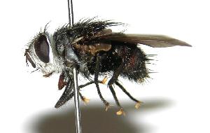  ( - DHJPAR0001926)  @14 [ ] Unspecified (default): All Rights Reserved  Unspecified Unspecified