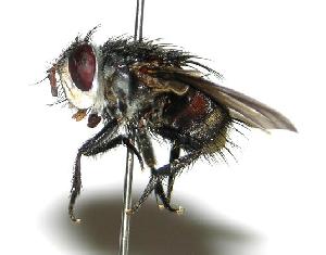  ( - DHJPAR0001935)  @14 [ ] Unspecified (default): All Rights Reserved  Unspecified Unspecified