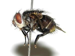  ( - DHJPAR0001939)  @14 [ ] Unspecified (default): All Rights Reserved  Unspecified Unspecified