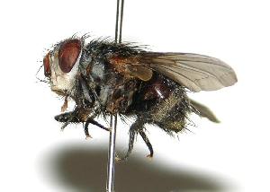  ( - DHJPAR0001940)  @14 [ ] Unspecified (default): All Rights Reserved  Unspecified Unspecified