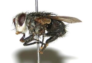  ( - DHJPAR0001941)  @14 [ ] Unspecified (default): All Rights Reserved  Unspecified Unspecified