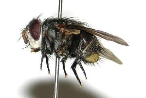  ( - DHJPAR0001947)  @14 [ ] Unspecified (default): All Rights Reserved  Unspecified Unspecified