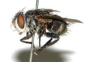  ( - DHJPAR0001950)  @14 [ ] Unspecified (default): All Rights Reserved  Unspecified Unspecified