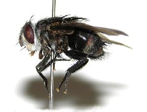  ( - DHJPAR0001967)  @14 [ ] Unspecified (default): All Rights Reserved  Unspecified Unspecified