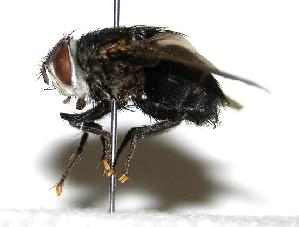  ( - DHJPAR0002002)  @14 [ ] Unspecified (default): All Rights Reserved  Unspecified Unspecified