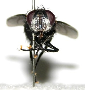  ( - DHJPAR0003565)  @14 [ ] Unspecified (default): All Rights Reserved  Unspecified Unspecified