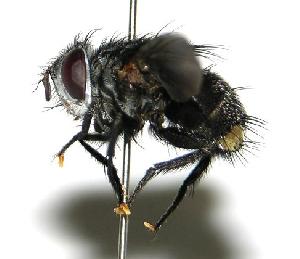  ( - DHJPAR0003568)  @14 [ ] Unspecified (default): All Rights Reserved  Unspecified Unspecified