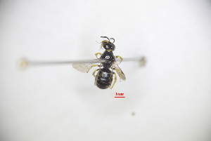  ( - CP16089)  @11 [ ] by-nc (2019) Unspecified China Agricultural University
